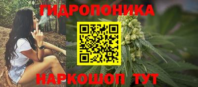 PSILOCYBIN Славгород