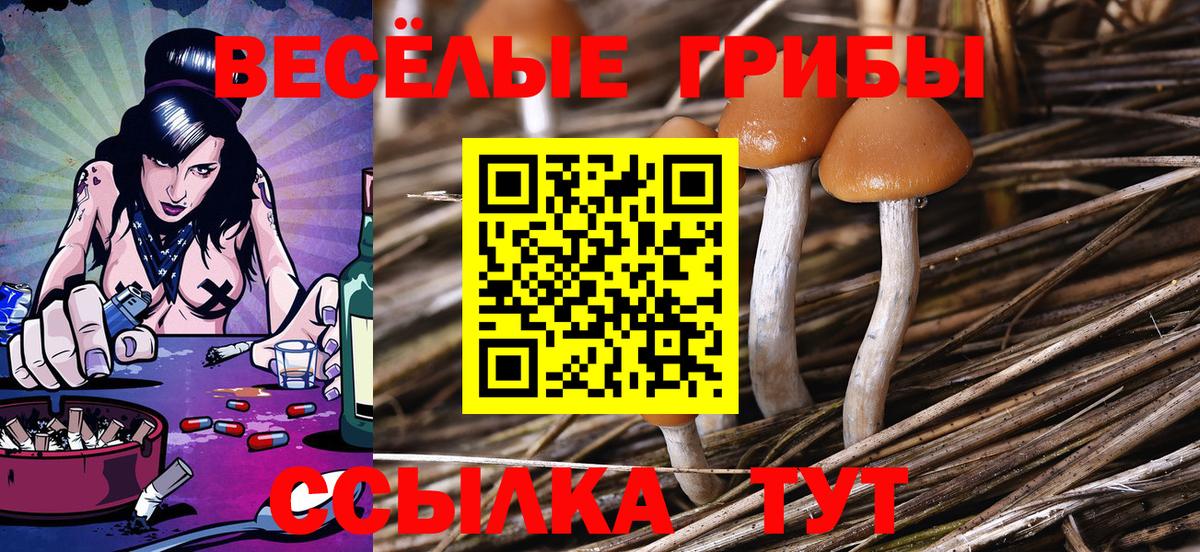 Малгобек  Псилоцибиновые грибы Magic Shrooms  Вход с VPN 